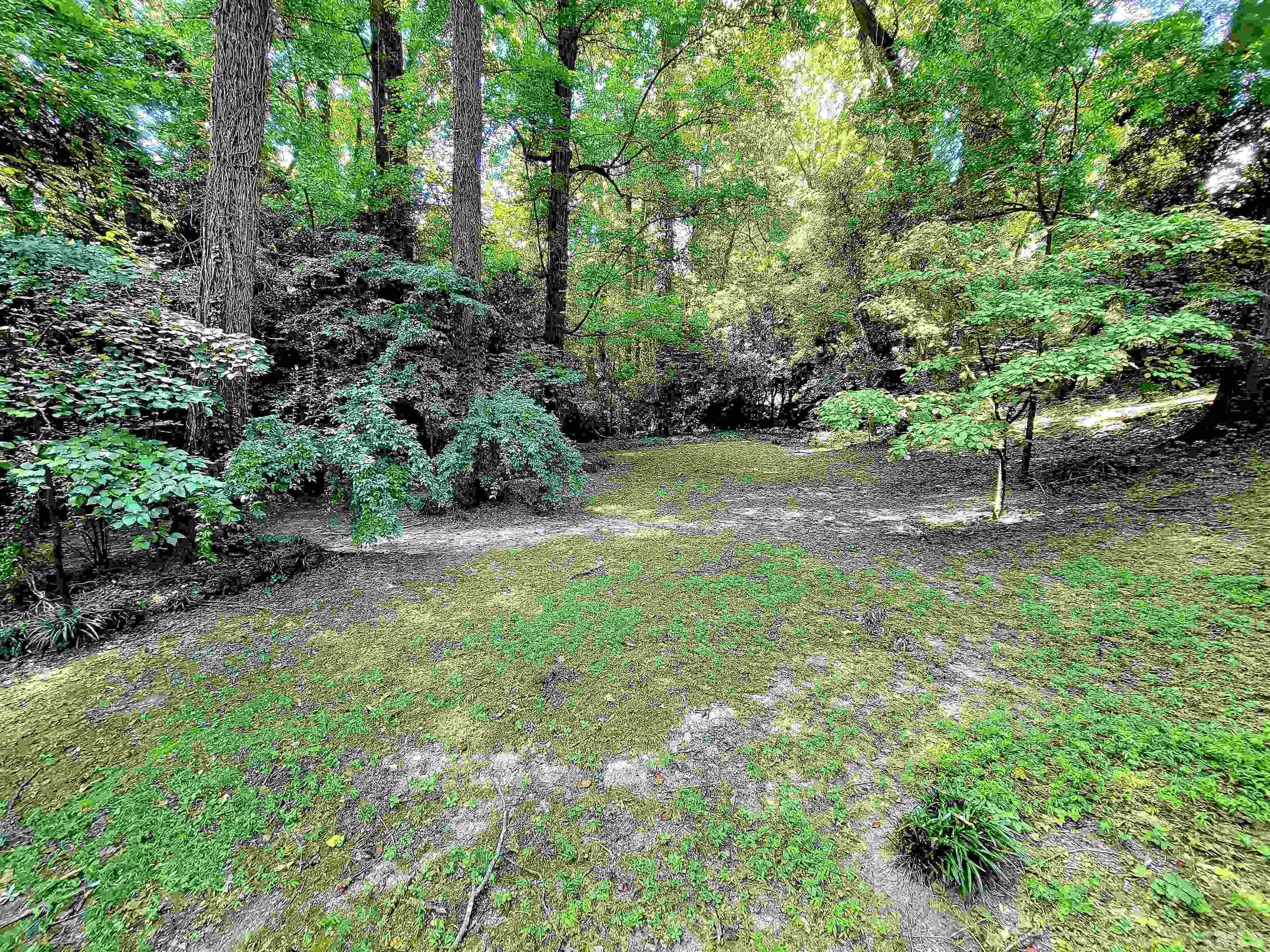 300 Dartmouth Road Raleigh, NC 27609 - Photo 18 of 52 a view of a yard with a tree