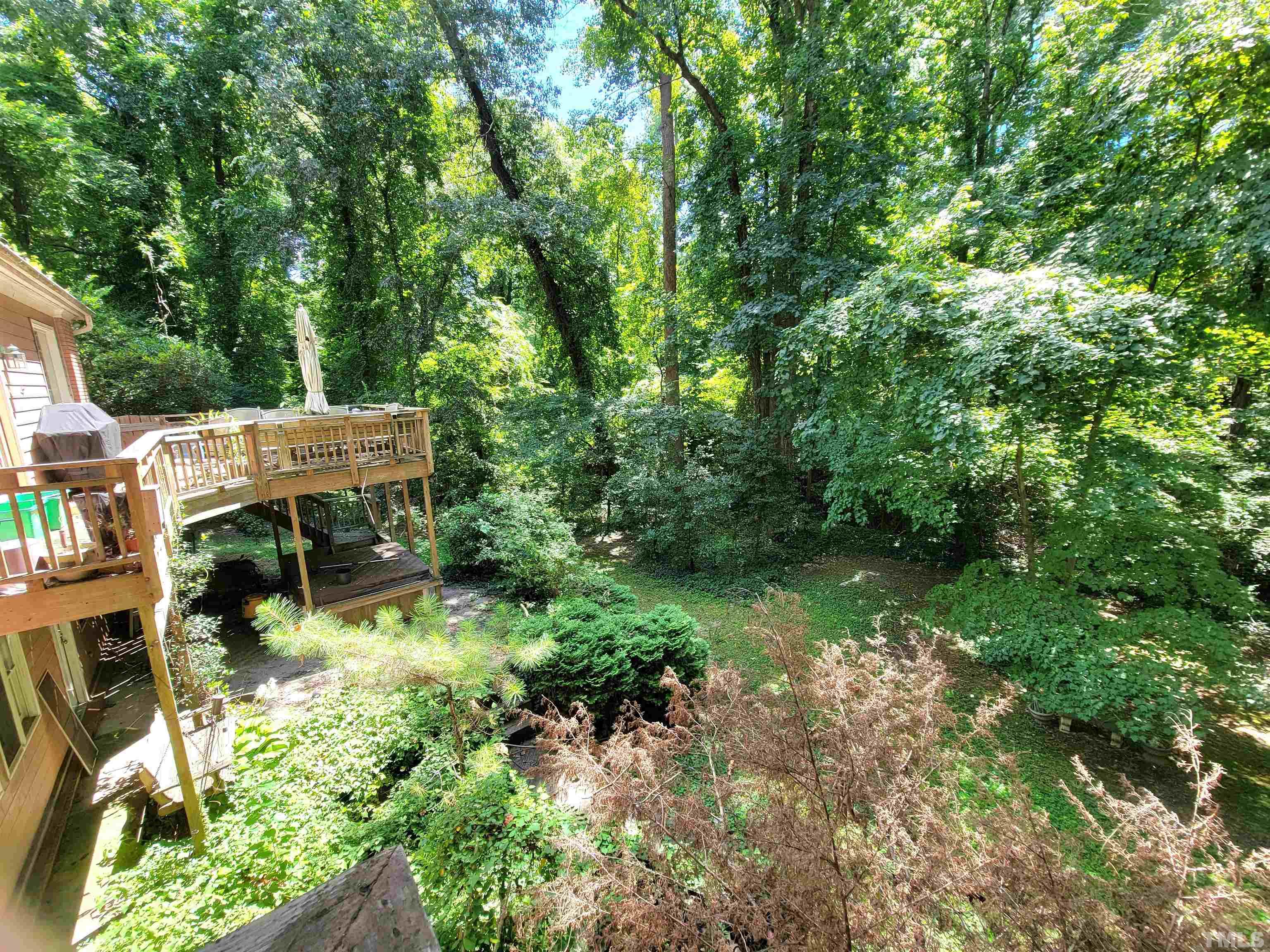 300 Dartmouth Road Raleigh, NC 27609 - Photo 20 of 52 a view of backyard of house with green space