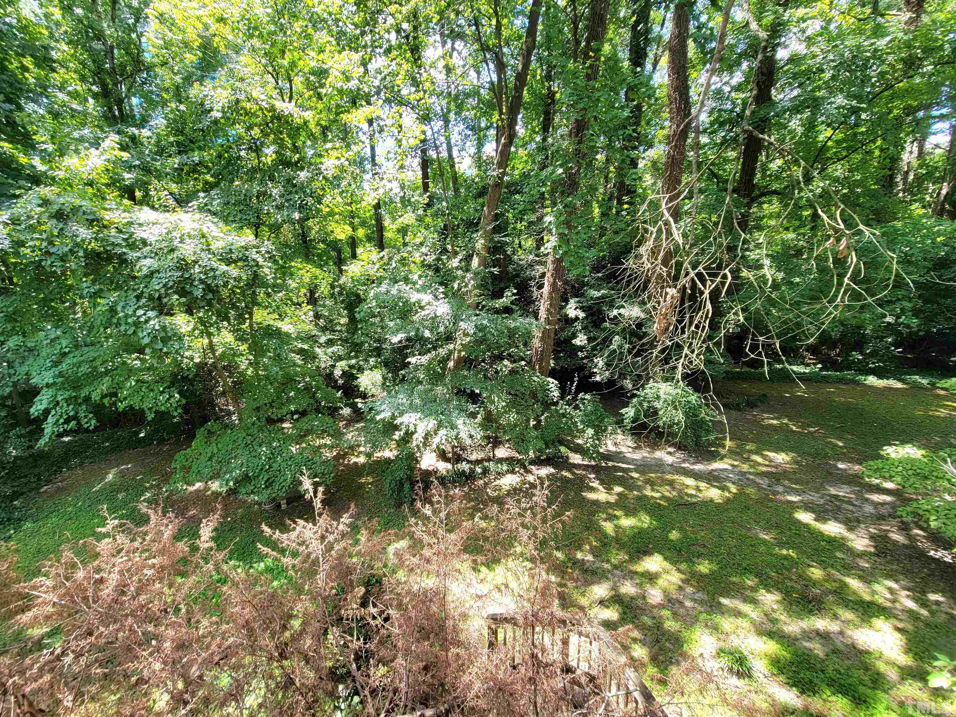 300 Dartmouth Road Raleigh, NC 27609 - Photo 34 of 52 a view of a garden
