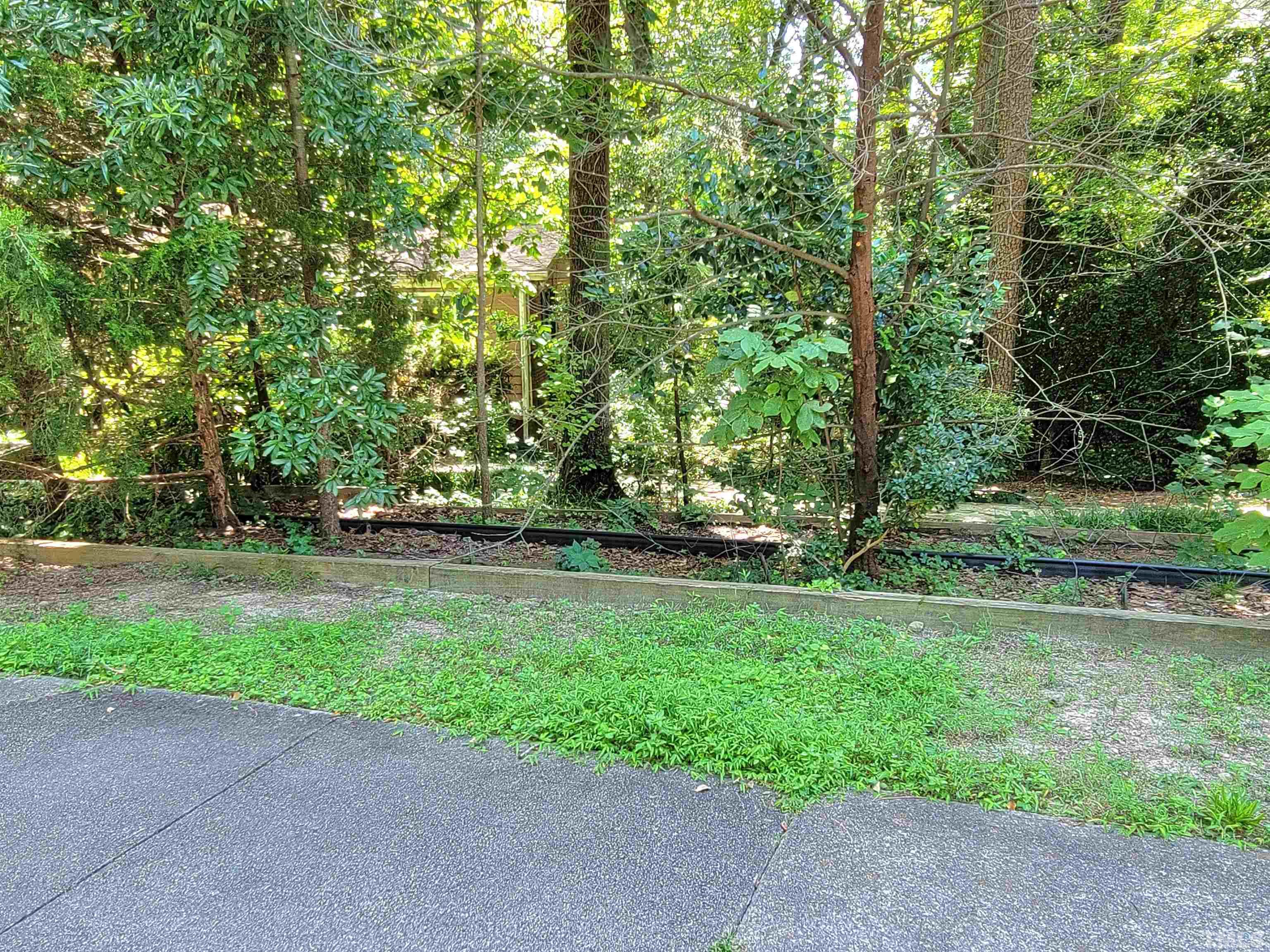 300 Dartmouth Road Raleigh, NC 27609 - Photo 39 of 52 a view of yard with green space