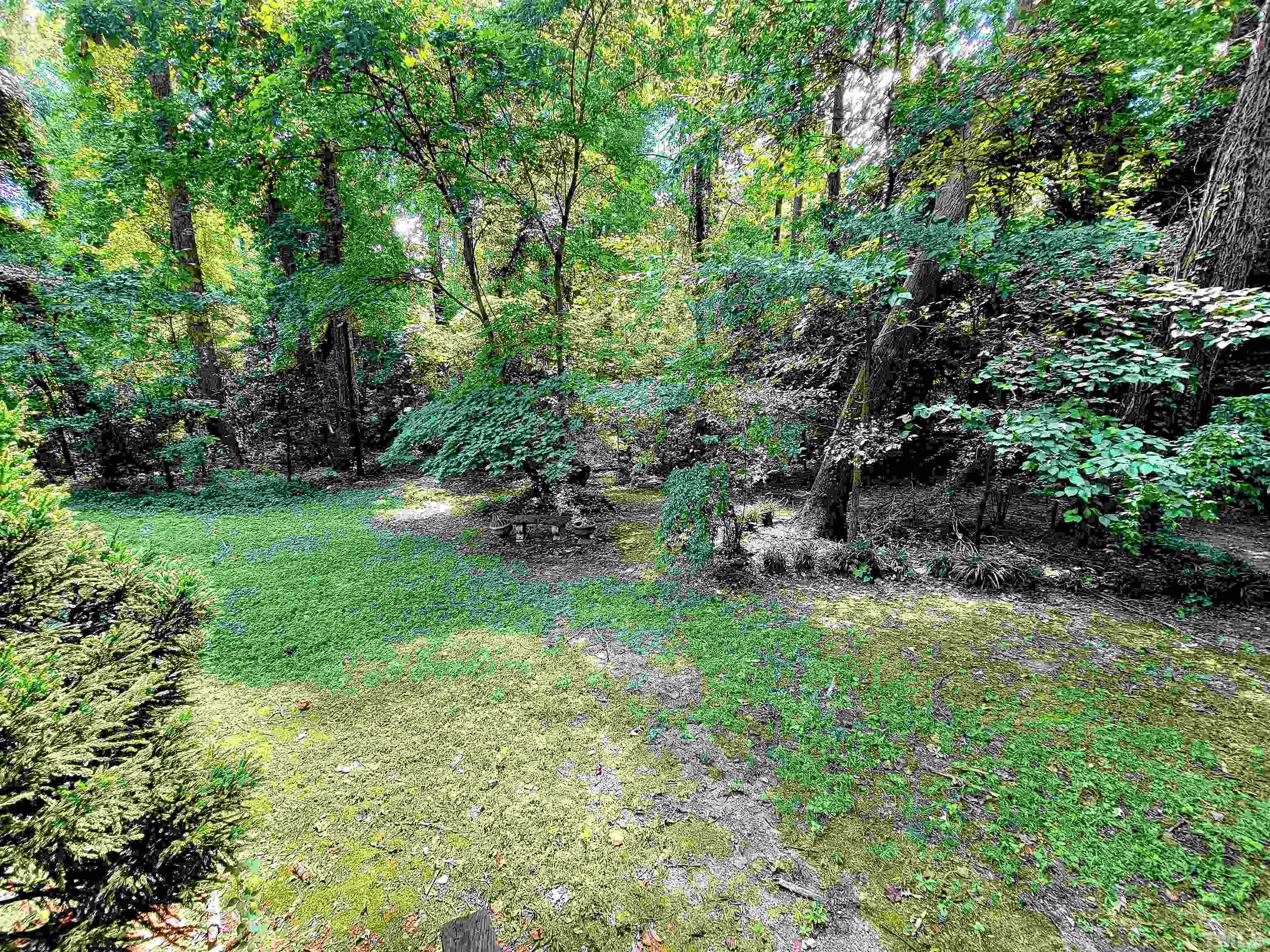 300 Dartmouth Road Raleigh, NC 27609 - Photo 41 of 52 a backyard of a house with table and chairs in a yard