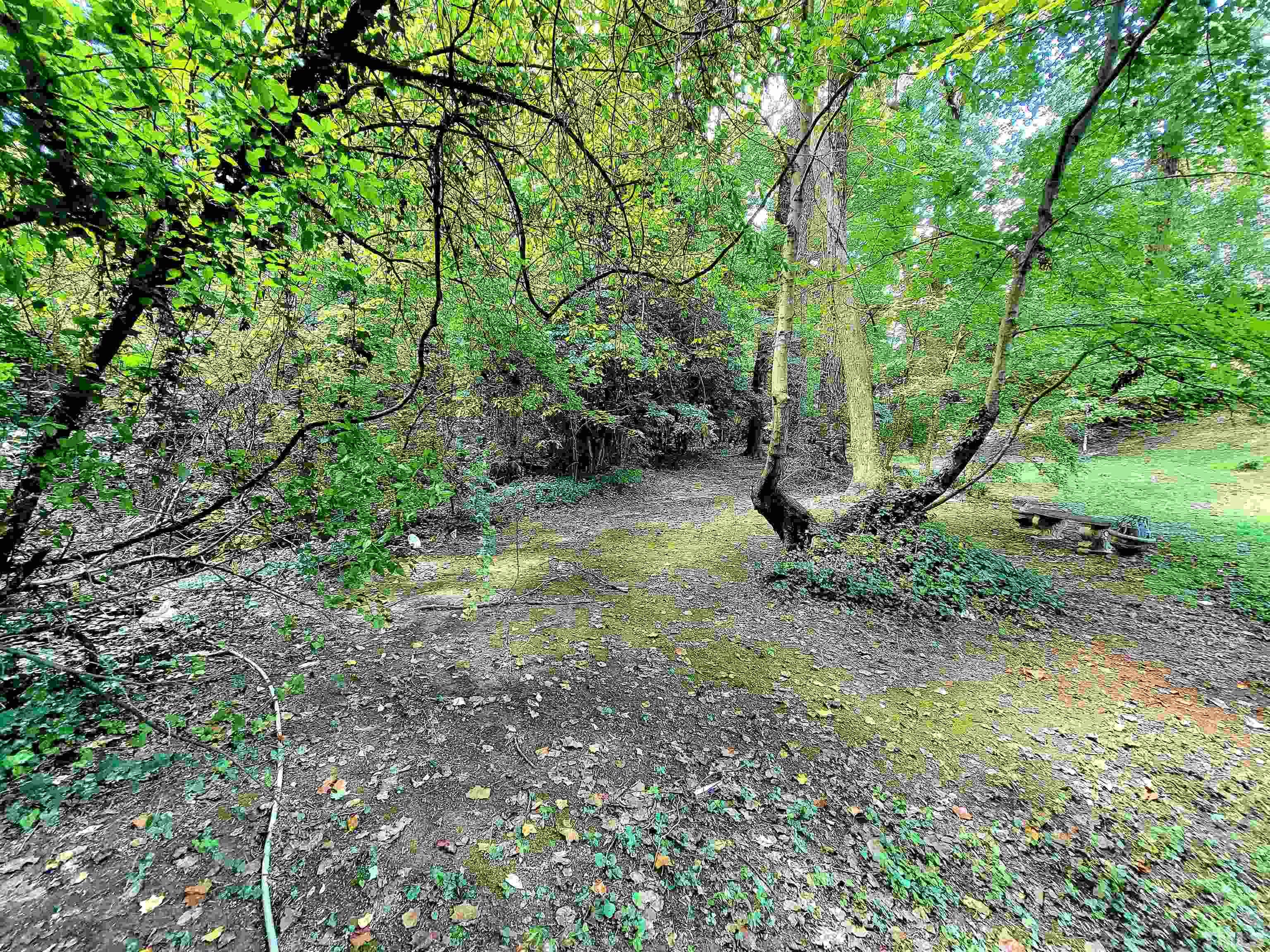 300 Dartmouth Road Raleigh, NC 27609 - Photo 46 of 52 a backyard of a house with lots of green space