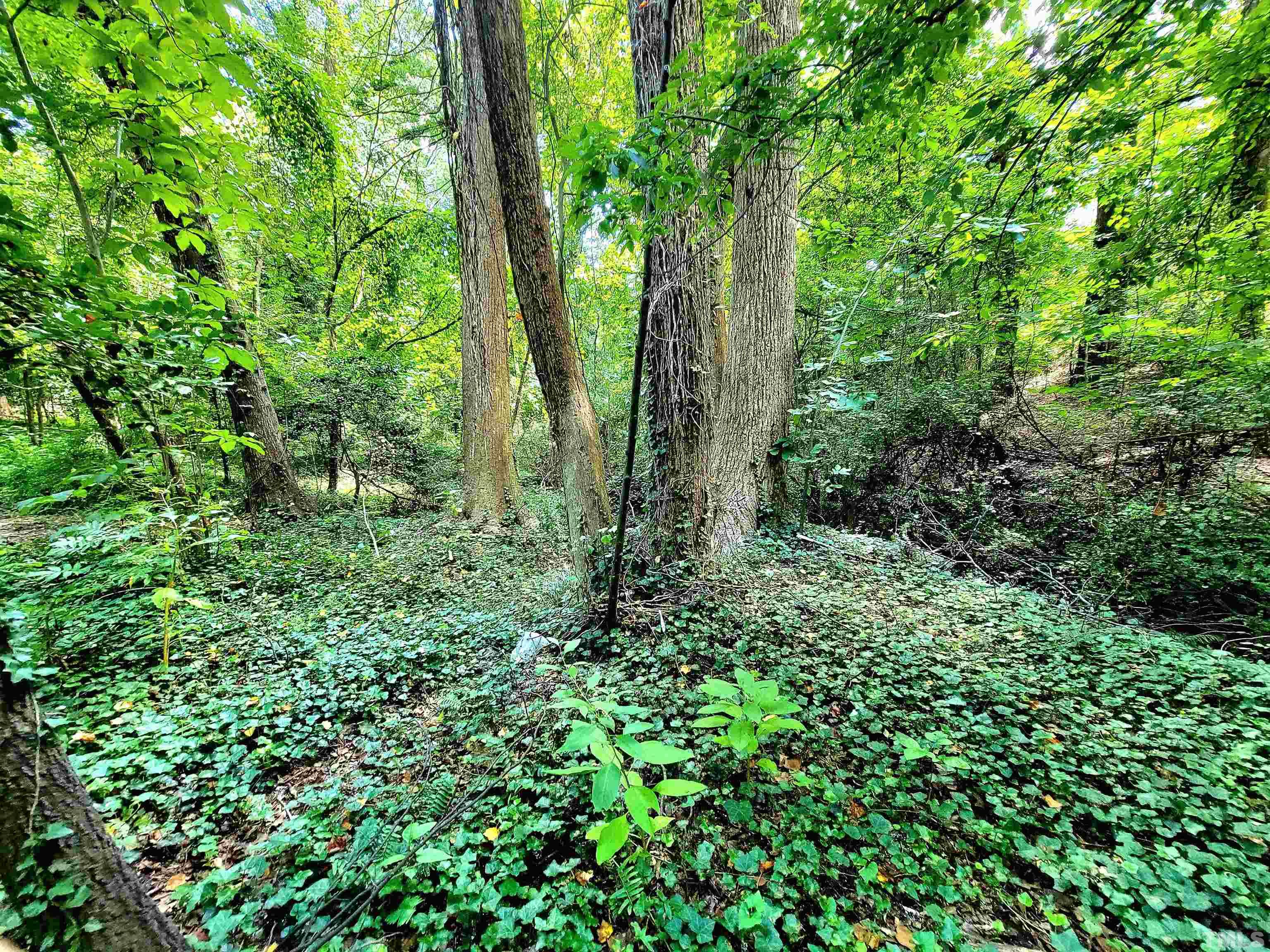 300 Dartmouth Road Raleigh, NC 27609 - Photo 47 of 52 a view of outdoor space and green space