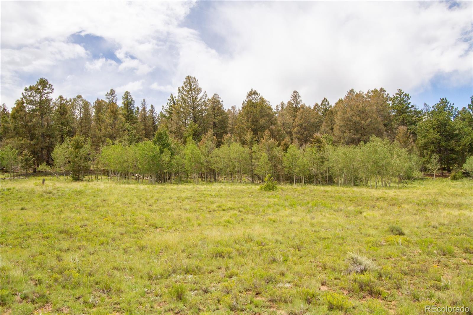 2718 Campfire Road Hartsel, CO 80449 - Photo 1 of 18 a view of an ocean view