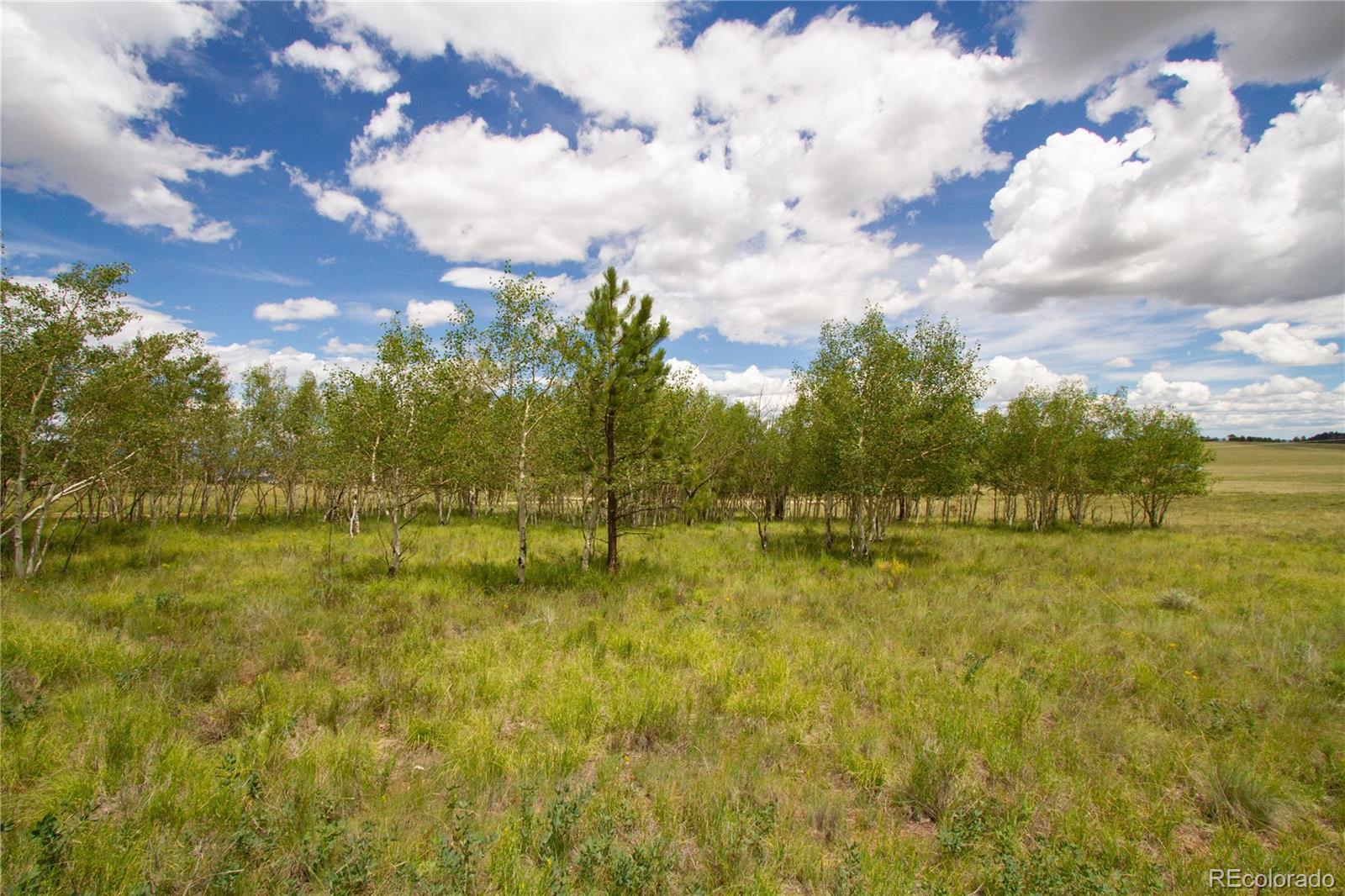 2718 Campfire Road Hartsel, CO 80449 - Photo 13 of 18 a view of a lake view
