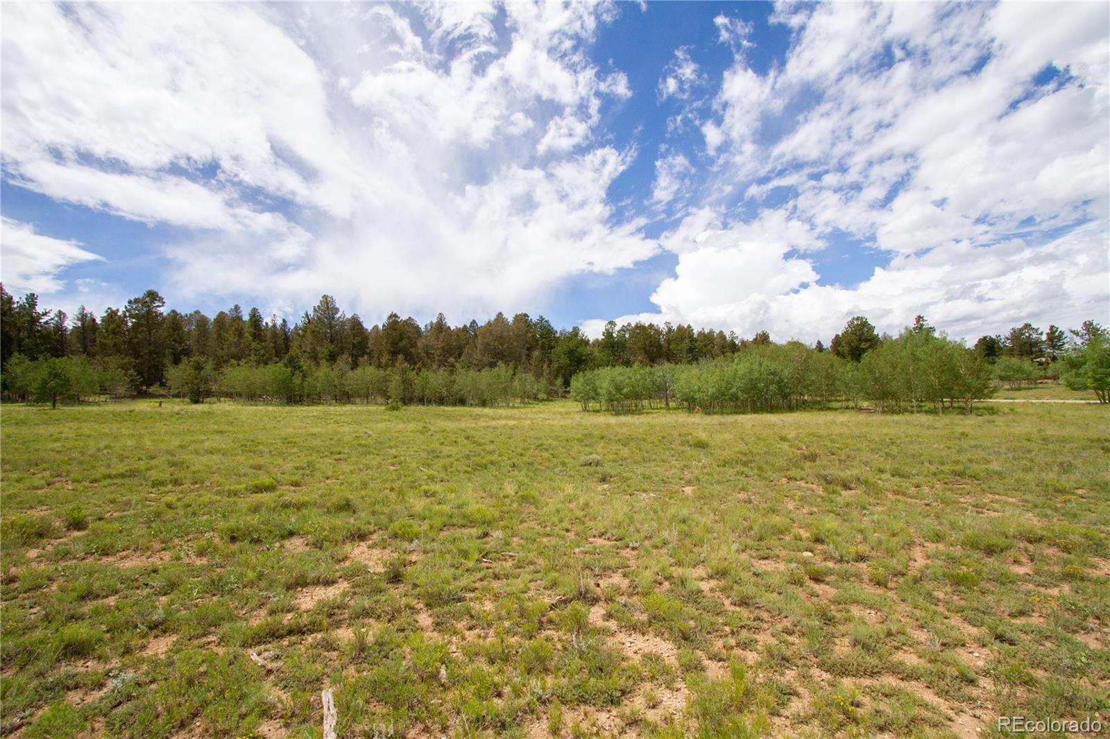 2718 Campfire Road Hartsel, CO 80449 - Photo 14 of 18 a view of an ocean from a yard