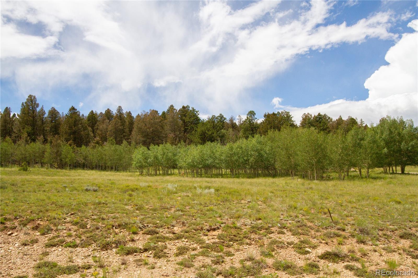 2718 Campfire Road Hartsel, CO 80449 - Photo 17 of 18 a view of a field with an ocean