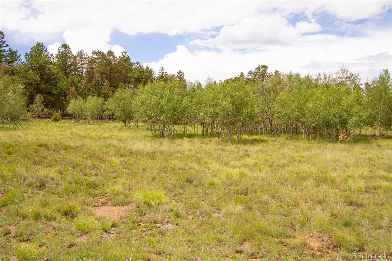 2718 Campfire Road Hartsel, CO 80449 - Photo 3 of 18 a view of a yard with an outdoor space