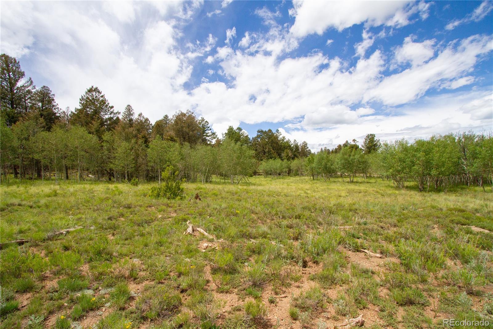 2718 Campfire Road Hartsel, CO 80449 - Photo 4 of 18 a view of a field with lots of green space