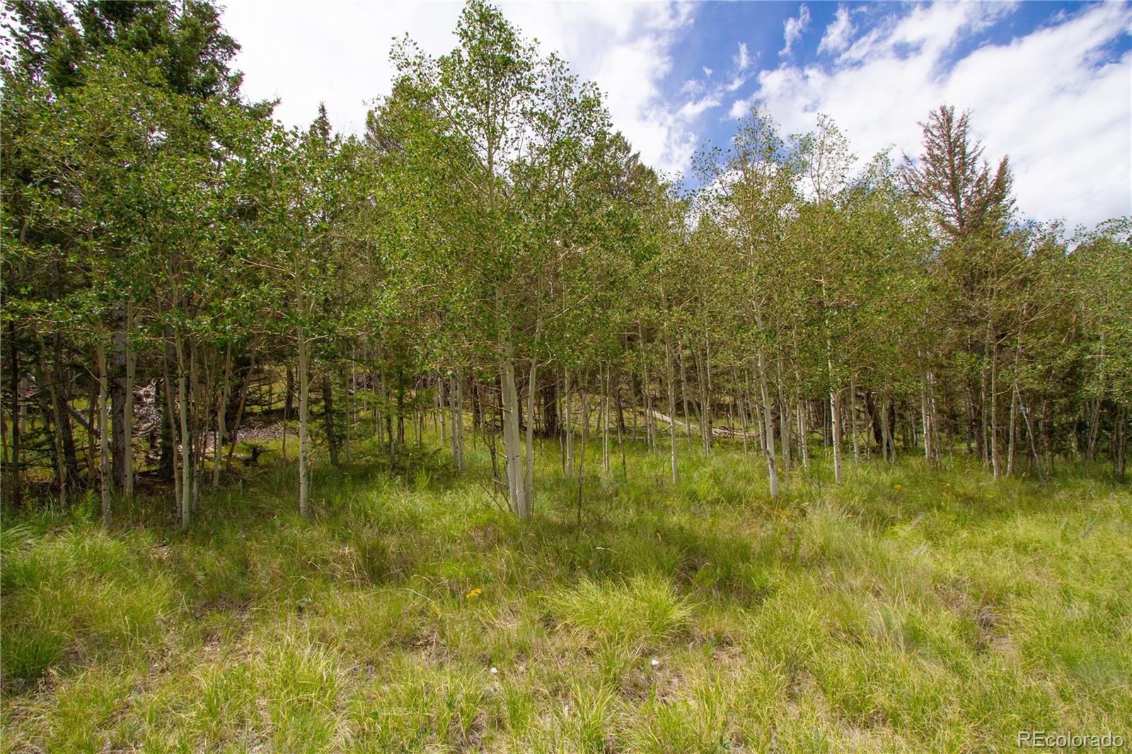 2718 Campfire Road Hartsel, CO 80449 - Photo 6 of 18 a view of lake with green space