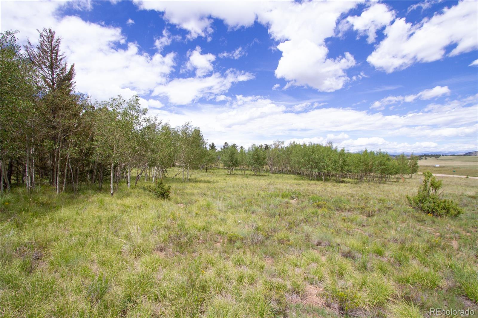 2718 Campfire Road Hartsel, CO 80449 - Photo 7 of 18 a view of a lake with an outdoor space