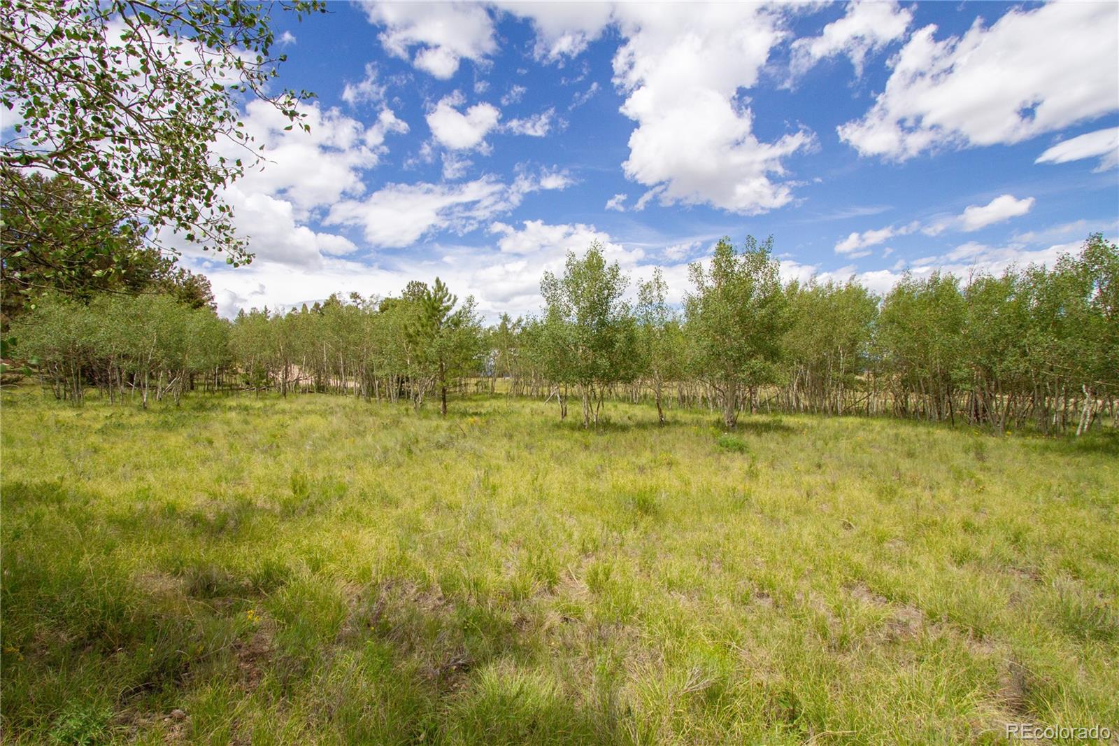 2718 Campfire Road Hartsel, CO 80449 - Photo 9 of 18 a view of lake view