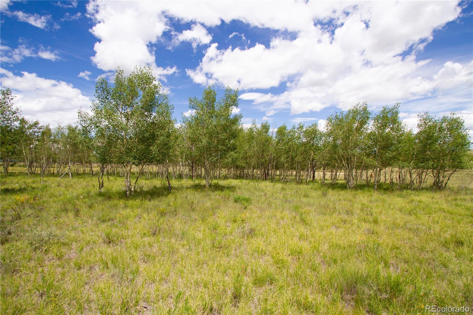 2718 Campfire Road Hartsel, CO 80449 - Photo 10 of 18