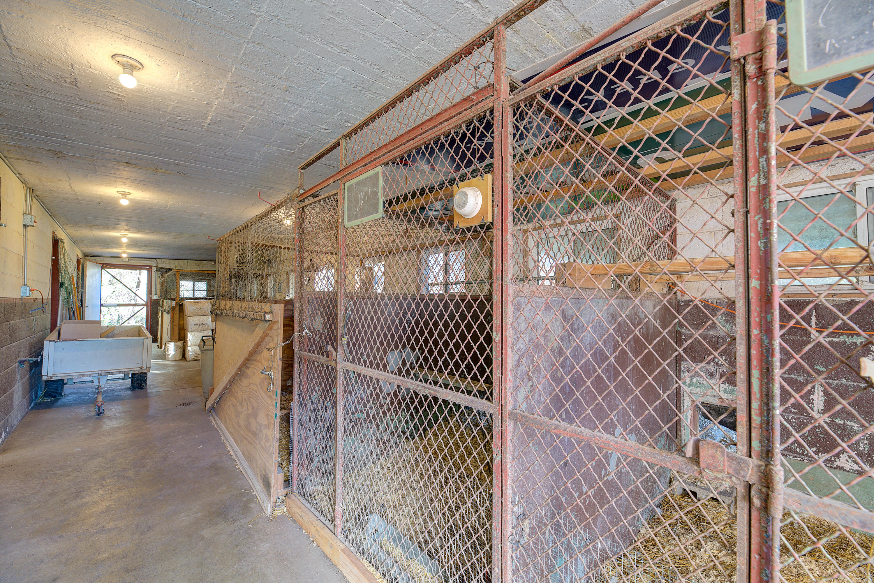18 Highway 18 Delafield, WI 53018 - Photo 97 of 111 Heated Out Building #2 Pic 2