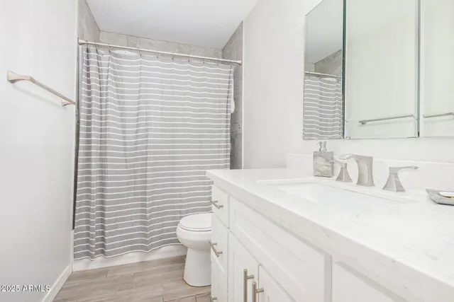 a bathroom with a sink a toilet and vanity