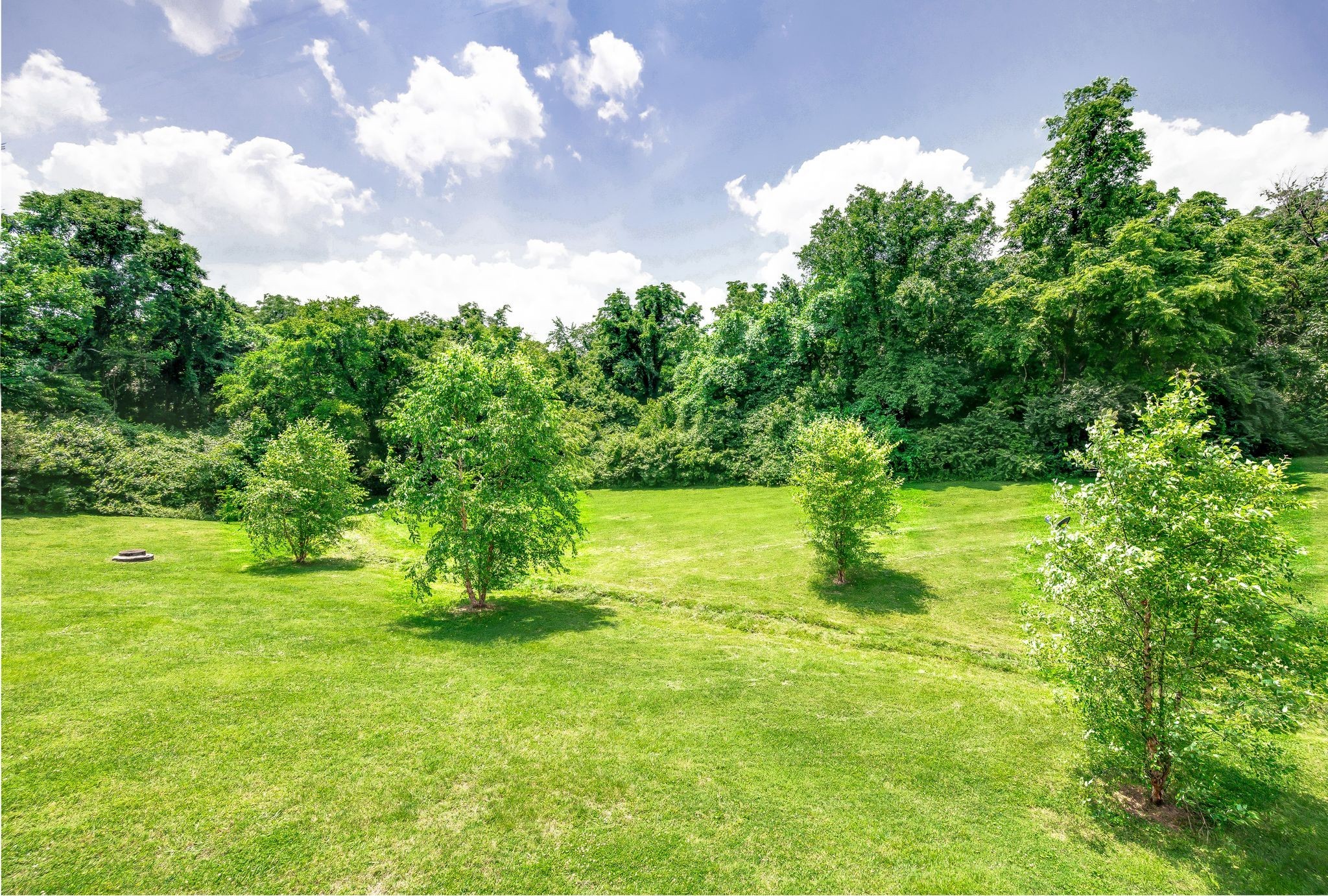 207 Ellington Place Madison, TN 37115 - Photo 24 of 24 a big yard with lots of green space