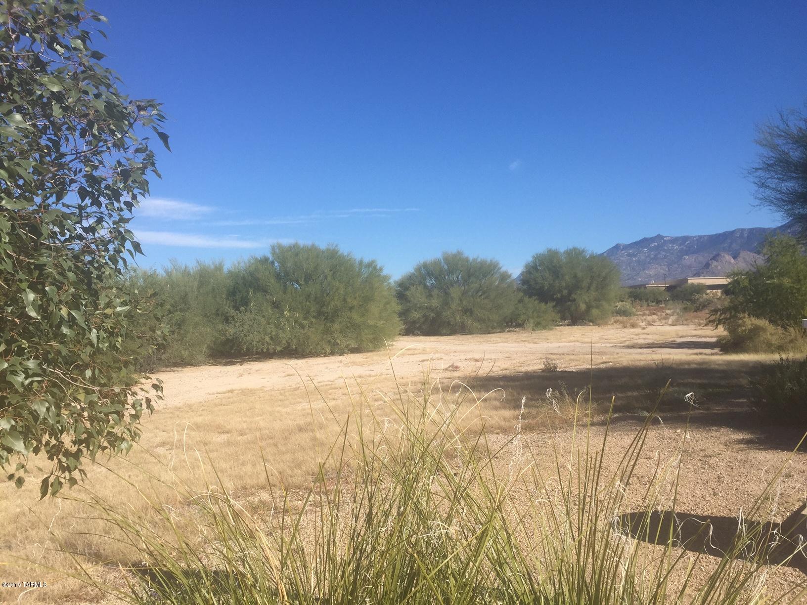 Lot 7 Mercado Del Rio, Unit 7 Tucson, AZ 85737 - Photo 3 of 6