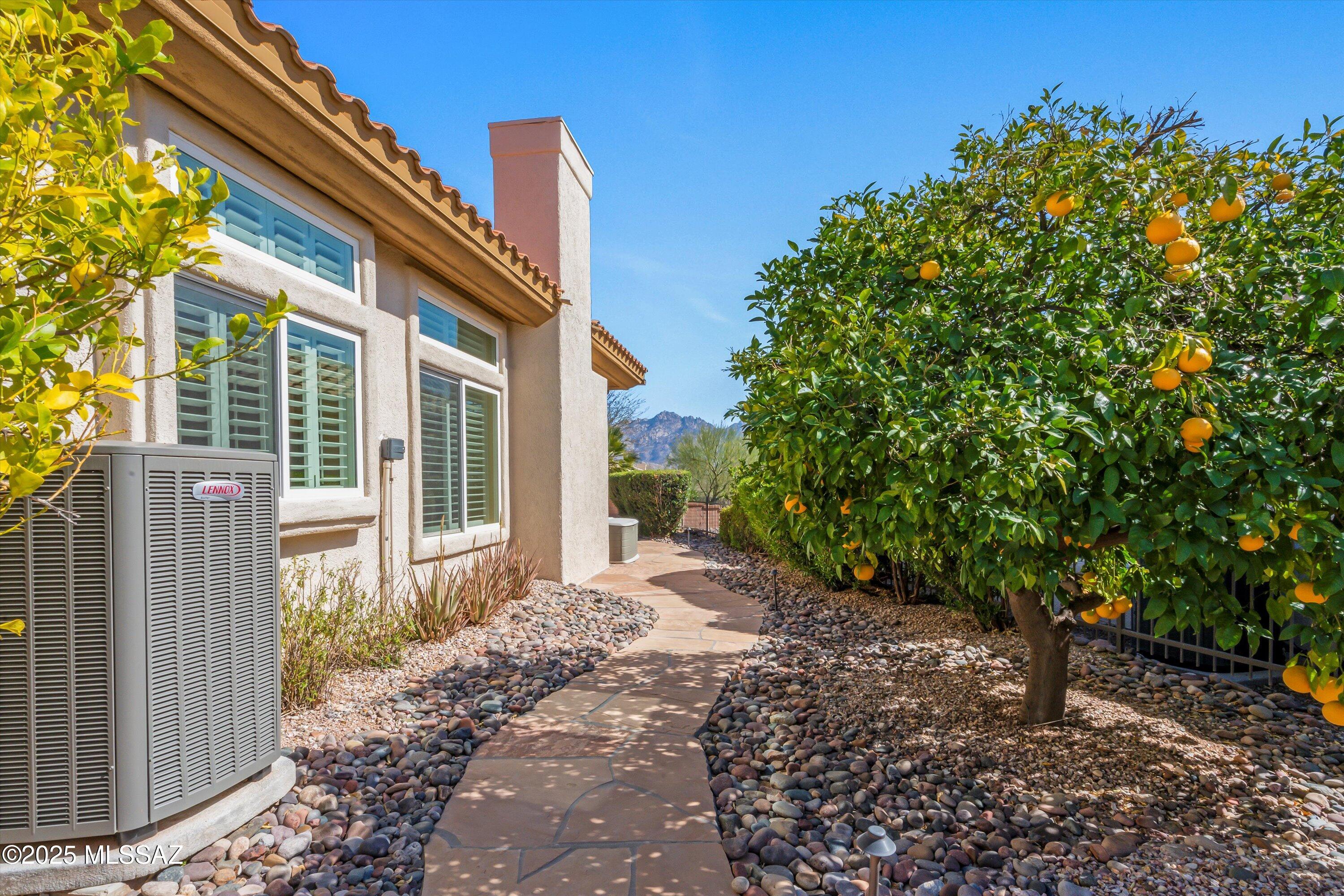 1524 East Crown Ridge Way Oro Valley, AZ 85755 - Photo 33 of 44