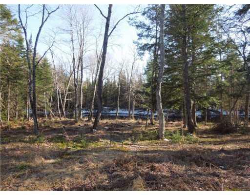 Lot 7-6 Station Road Bradford, ME 04410 - Photo 10 of 22 Land.