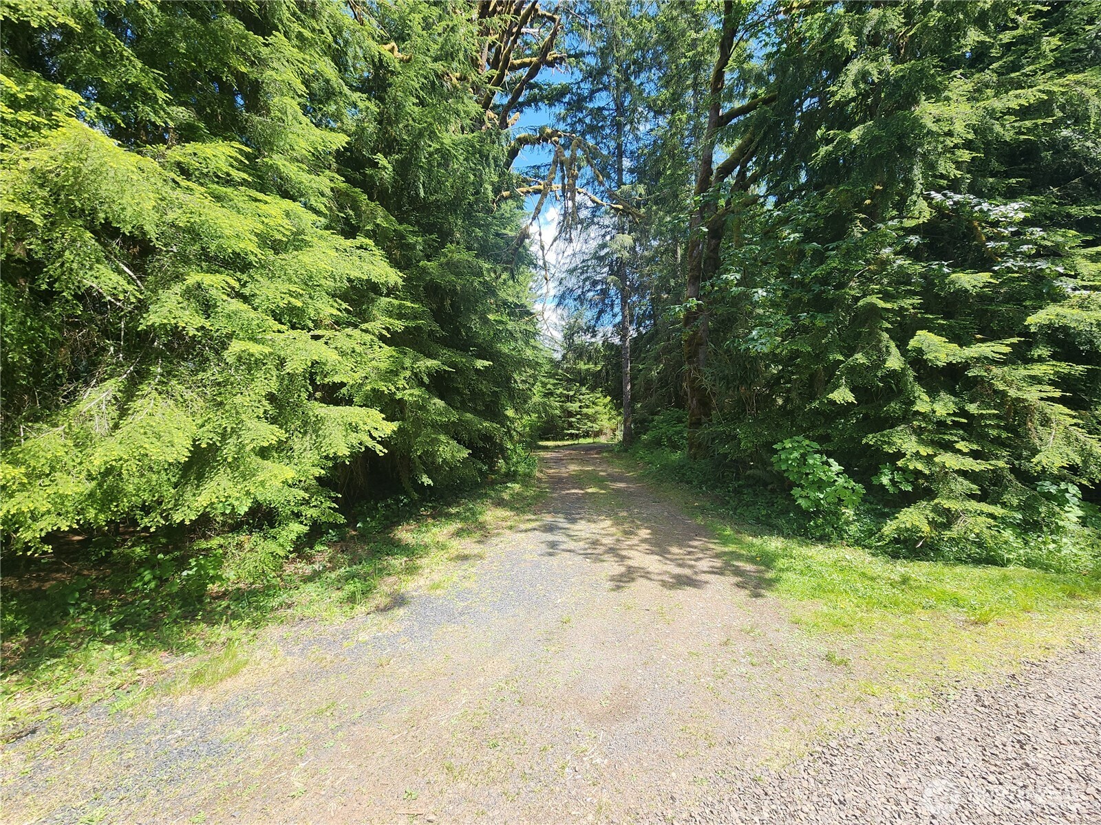 504-47 Winston Creek Road Mossyrock, WA 98564 - Photo 30 of 34