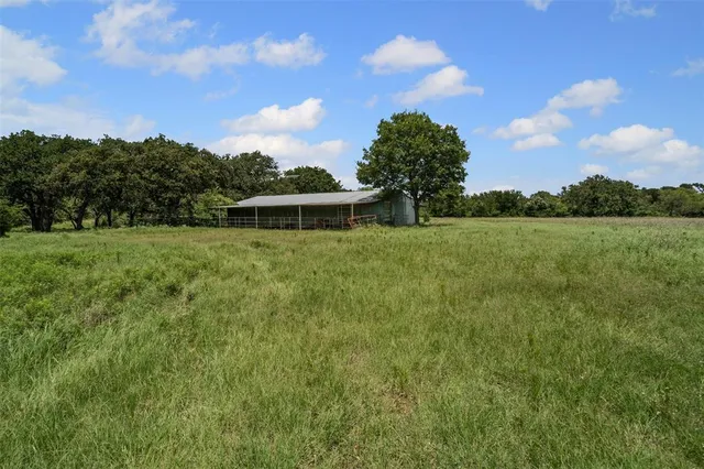 a view of a field with an trees