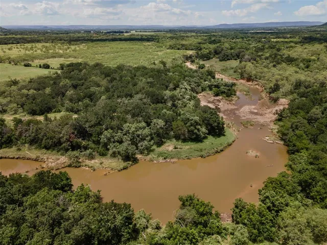 a view of a big yard with plants and large trees