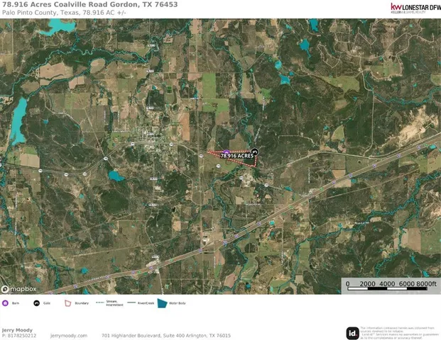 a black and white photo of a tree