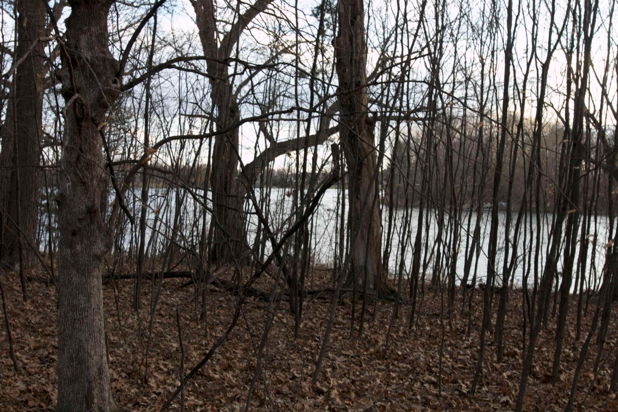 981 Peninsula Point Road Shakopee, MN 55379 - Photo 12 of 28