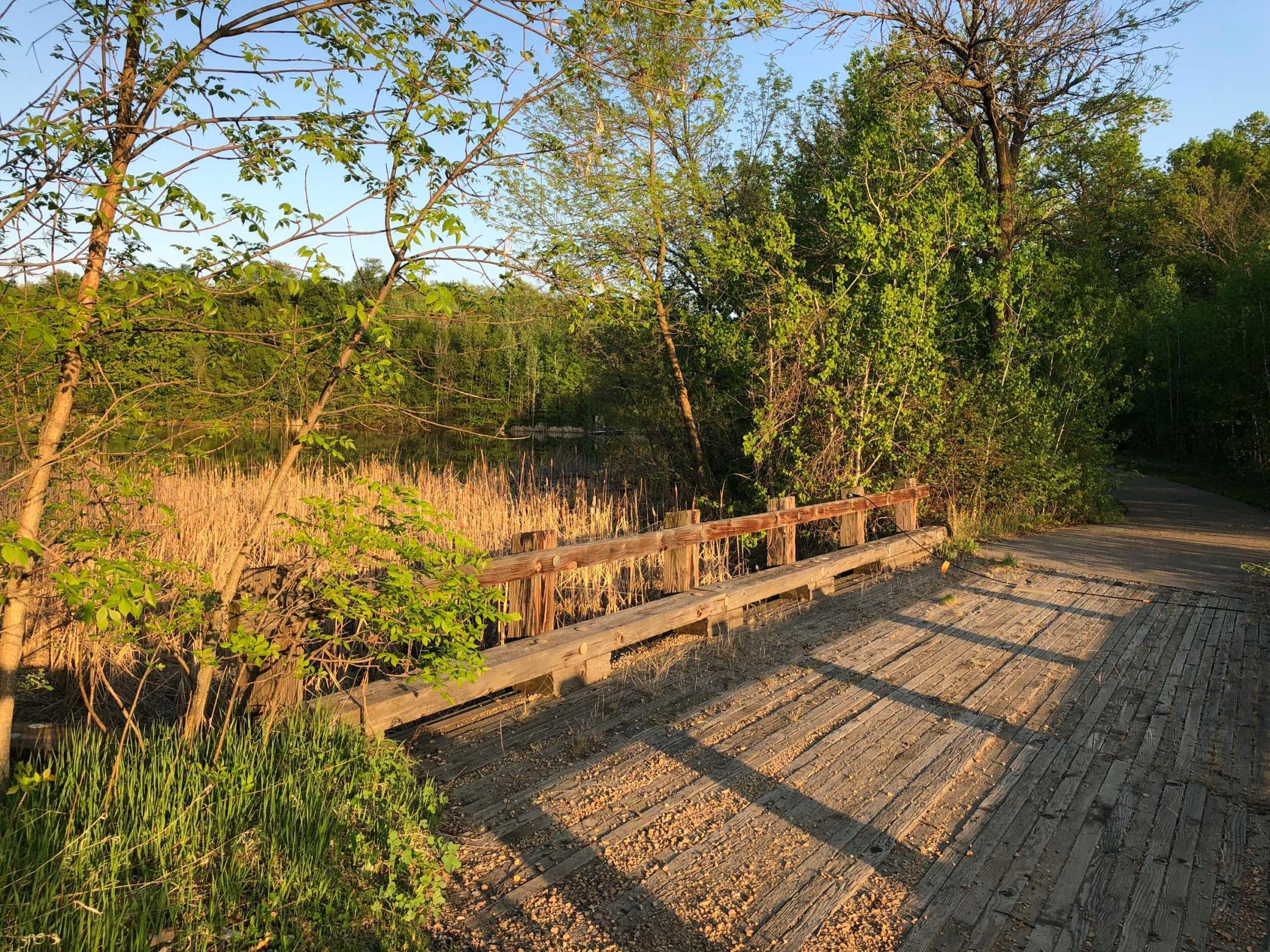 981 Peninsula Point Road Shakopee, MN 55379 - Photo 13 of 28