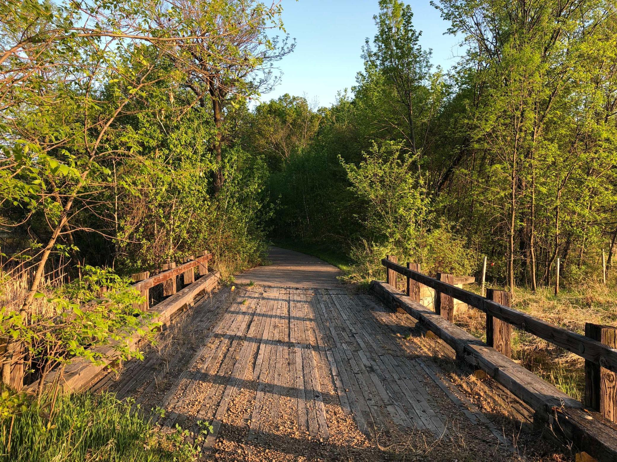 981 Peninsula Point Road Shakopee, MN 55379 - Photo 14 of 28