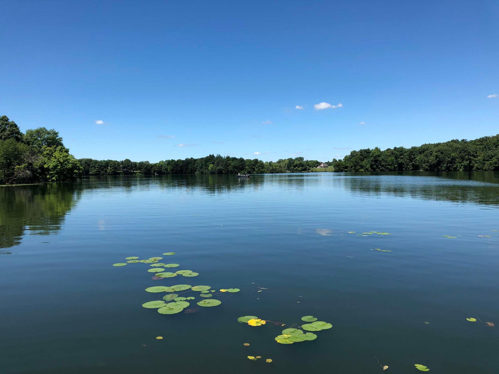 981 Peninsula Point Road Shakopee, MN 55379 - Photo 16 of 28