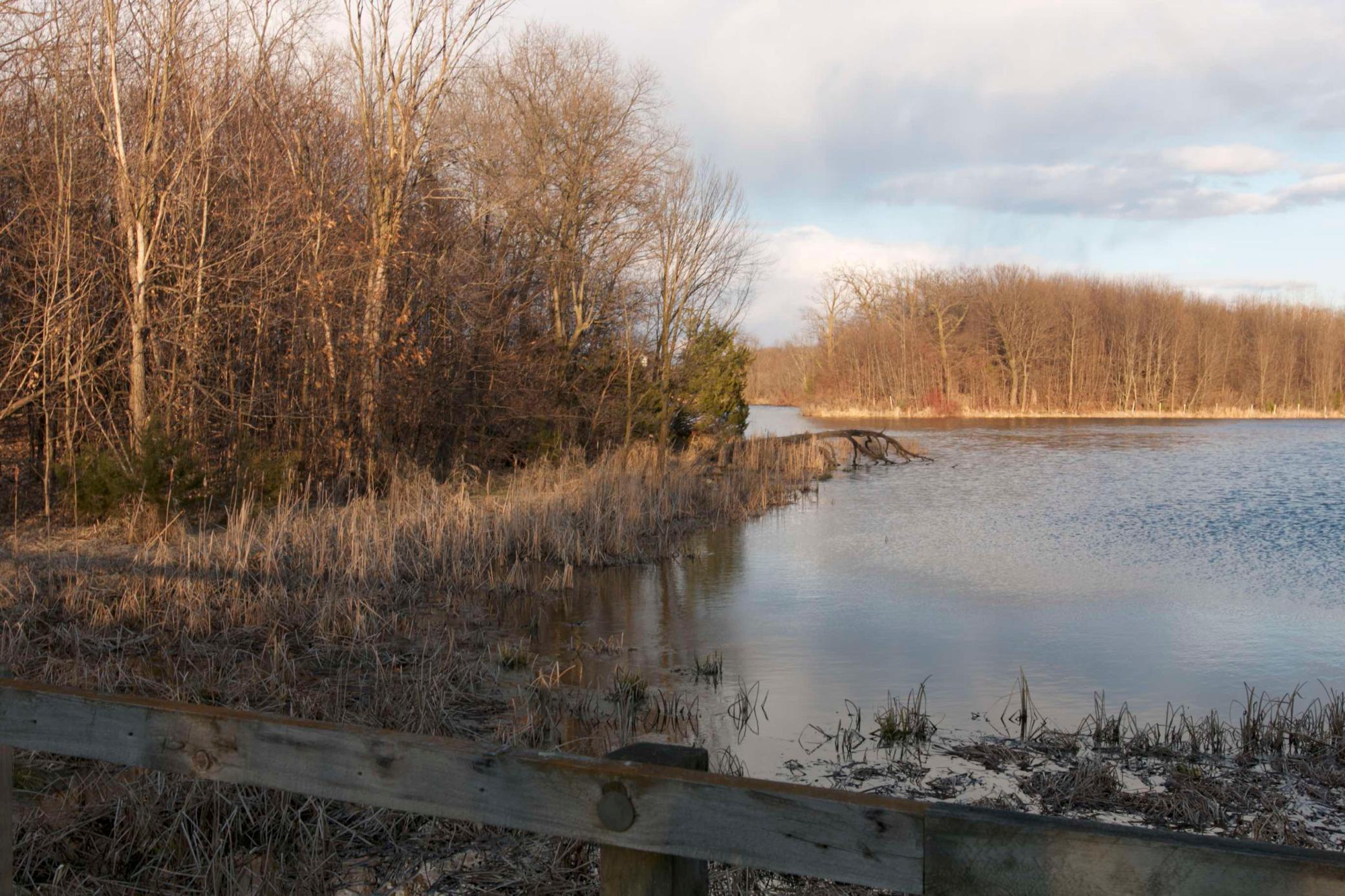 981 Peninsula Point Road Shakopee, MN 55379 - Photo 2 of 28