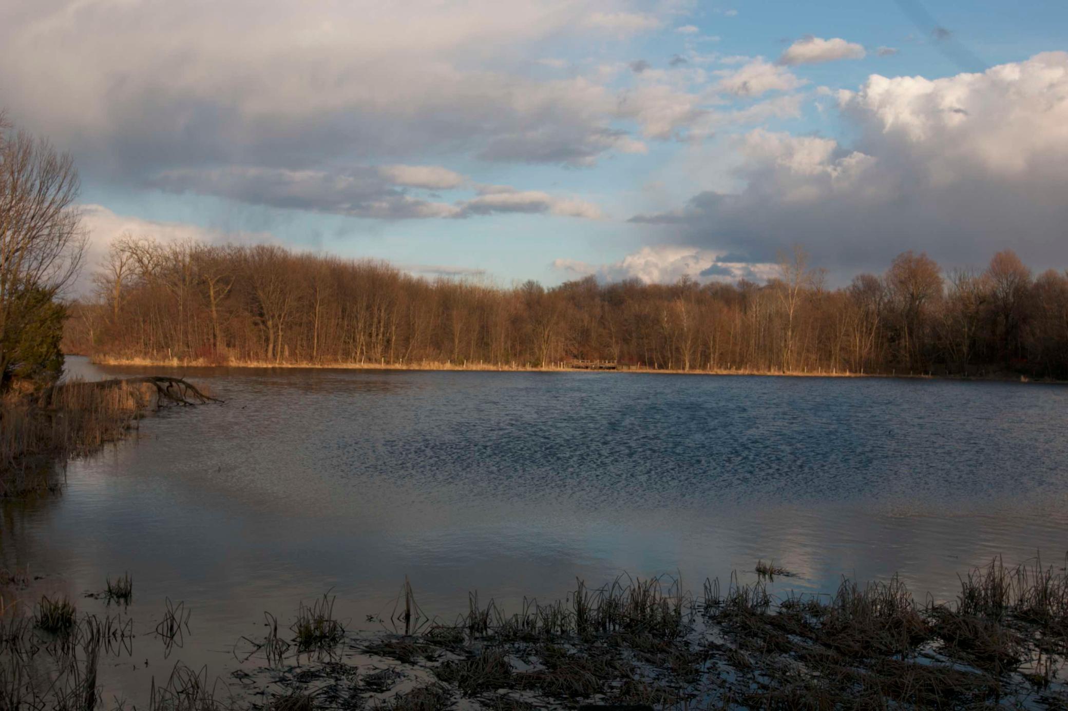 981 Peninsula Point Road Shakopee, MN 55379 - Photo 4 of 28