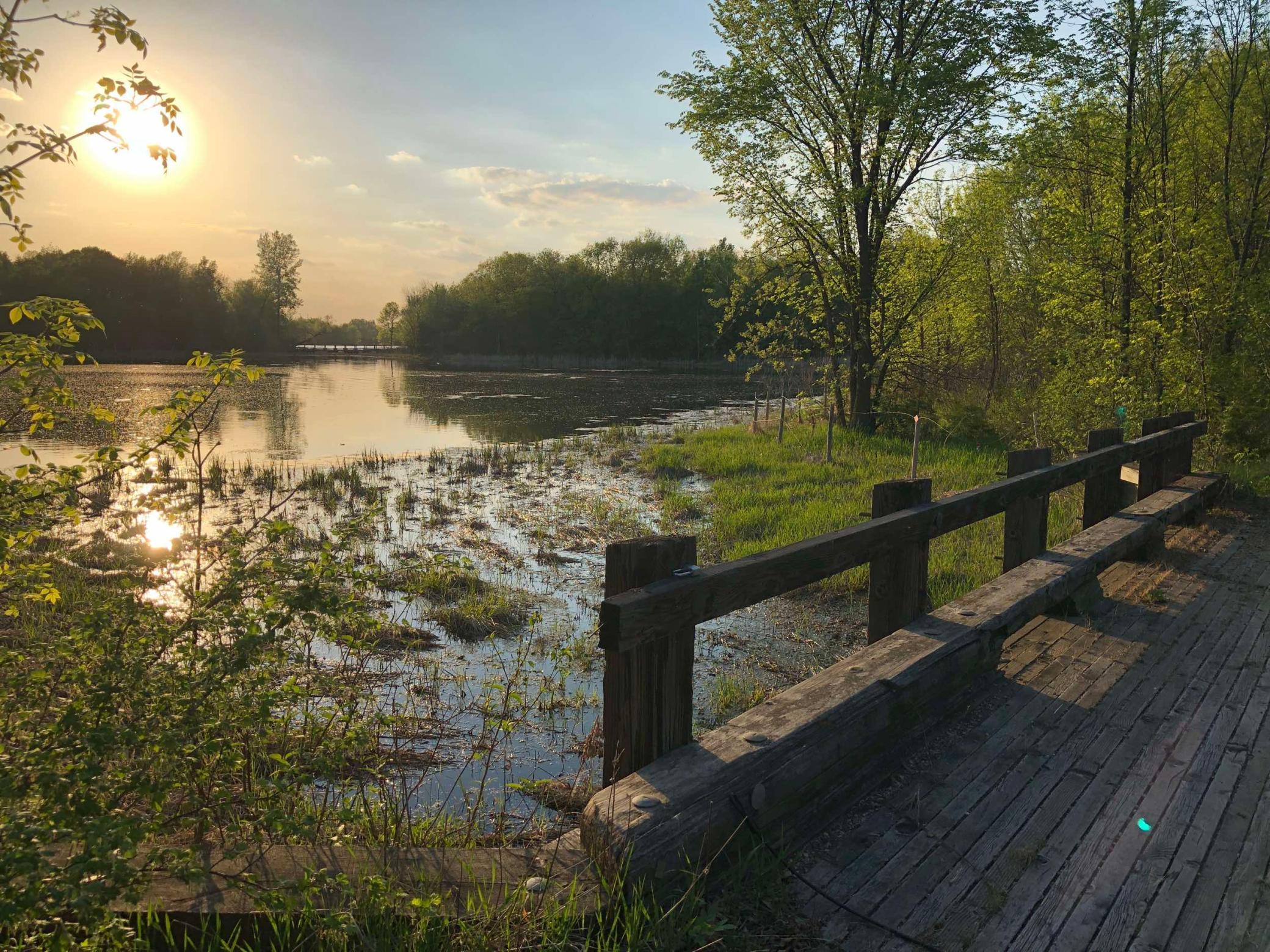 981 Peninsula Point Road Shakopee, MN 55379 - Photo 5 of 28