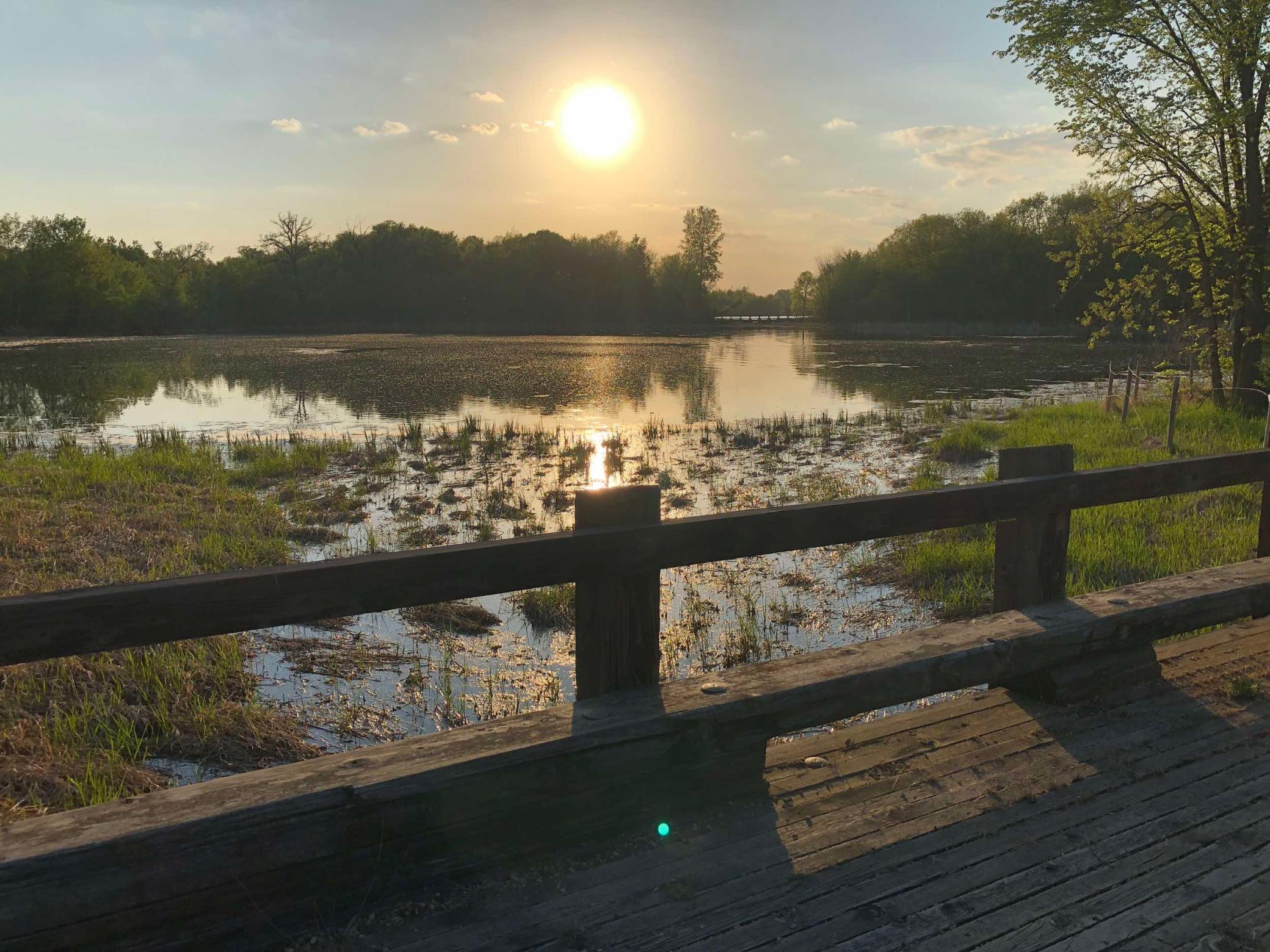 981 Peninsula Point Road Shakopee, MN 55379 - Photo 6 of 28
