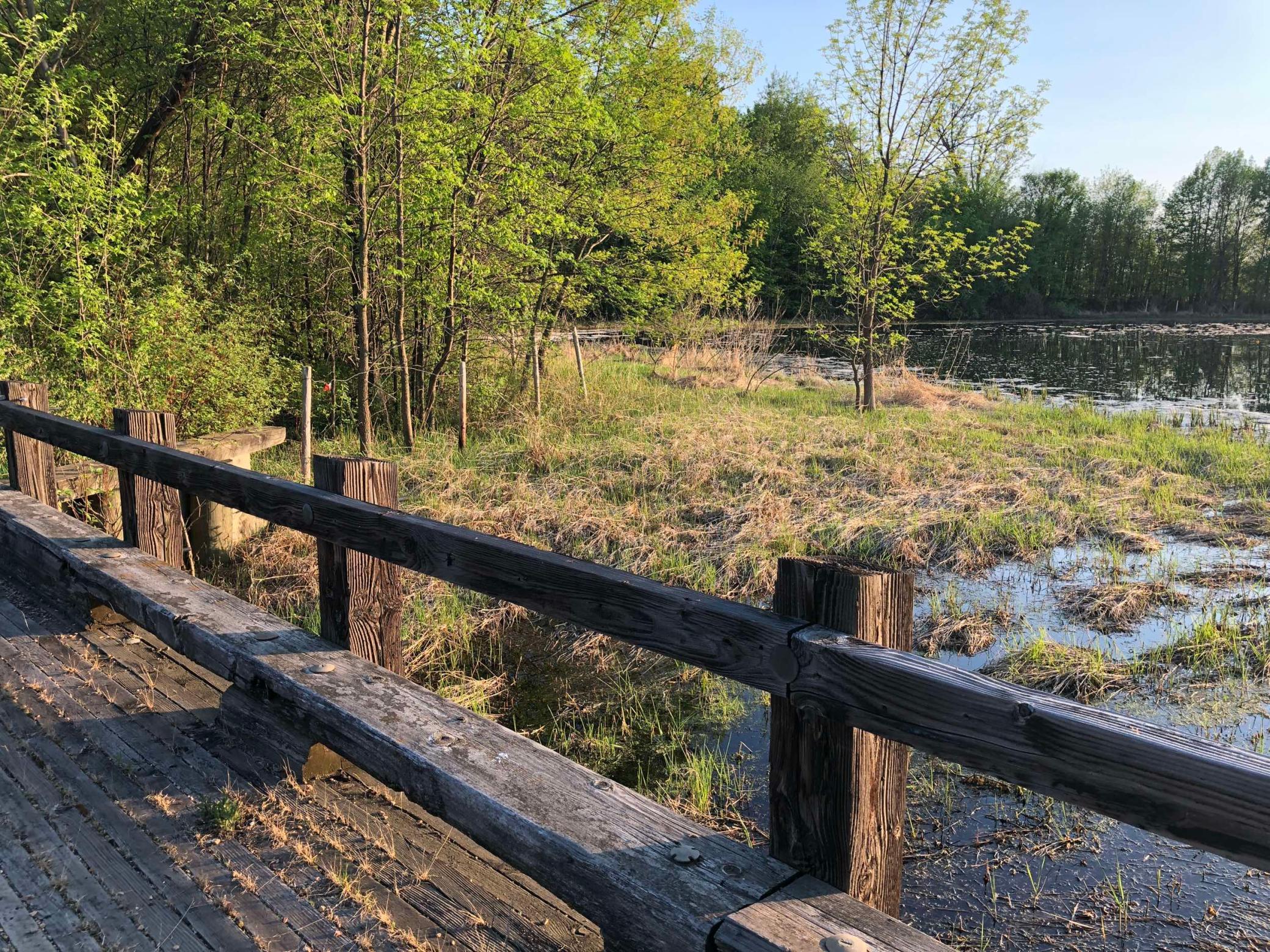 981 Peninsula Point Road Shakopee, MN 55379 - Photo 7 of 28