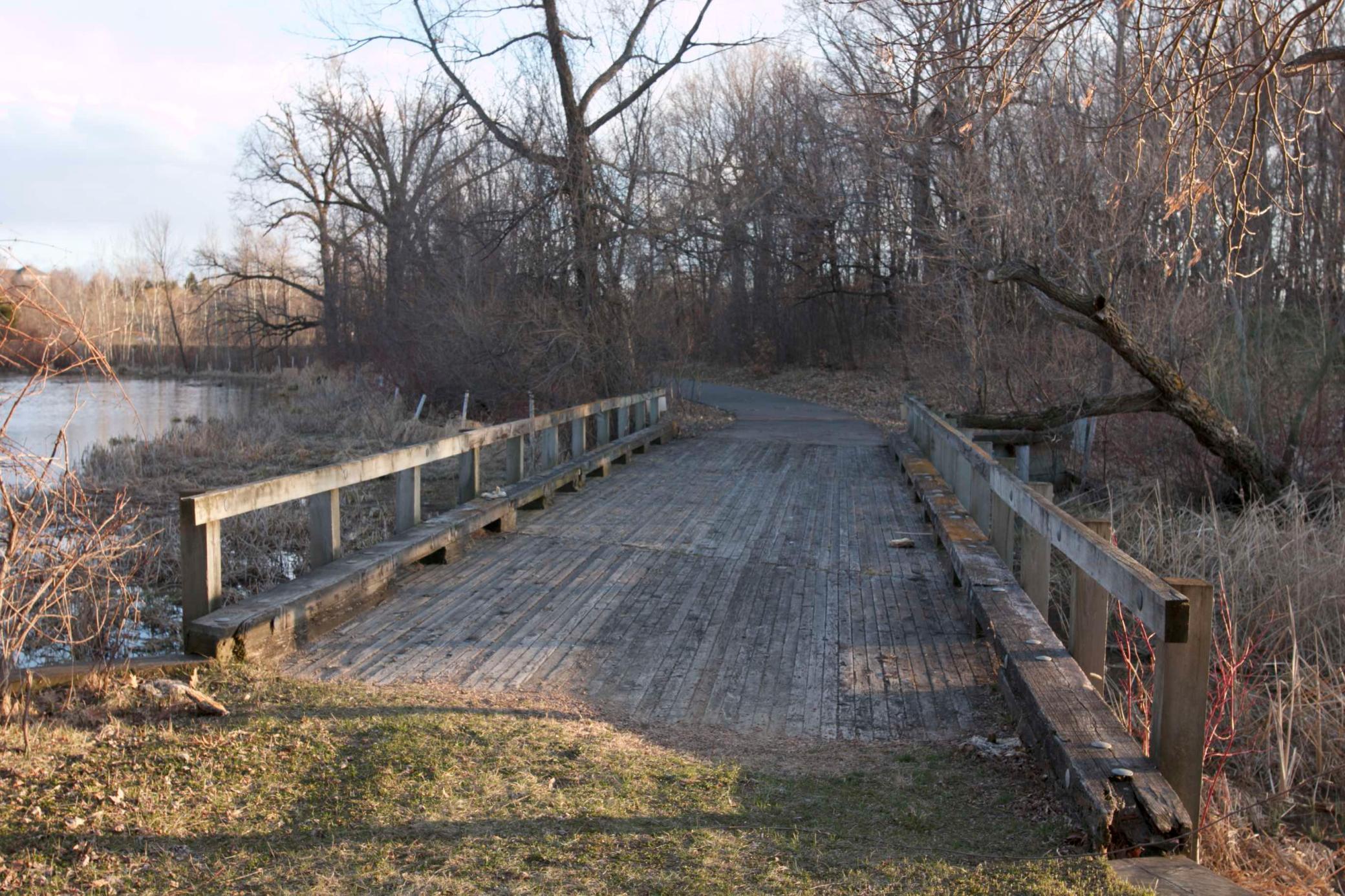 981 Peninsula Point Road Shakopee, MN 55379 - Photo 8 of 28