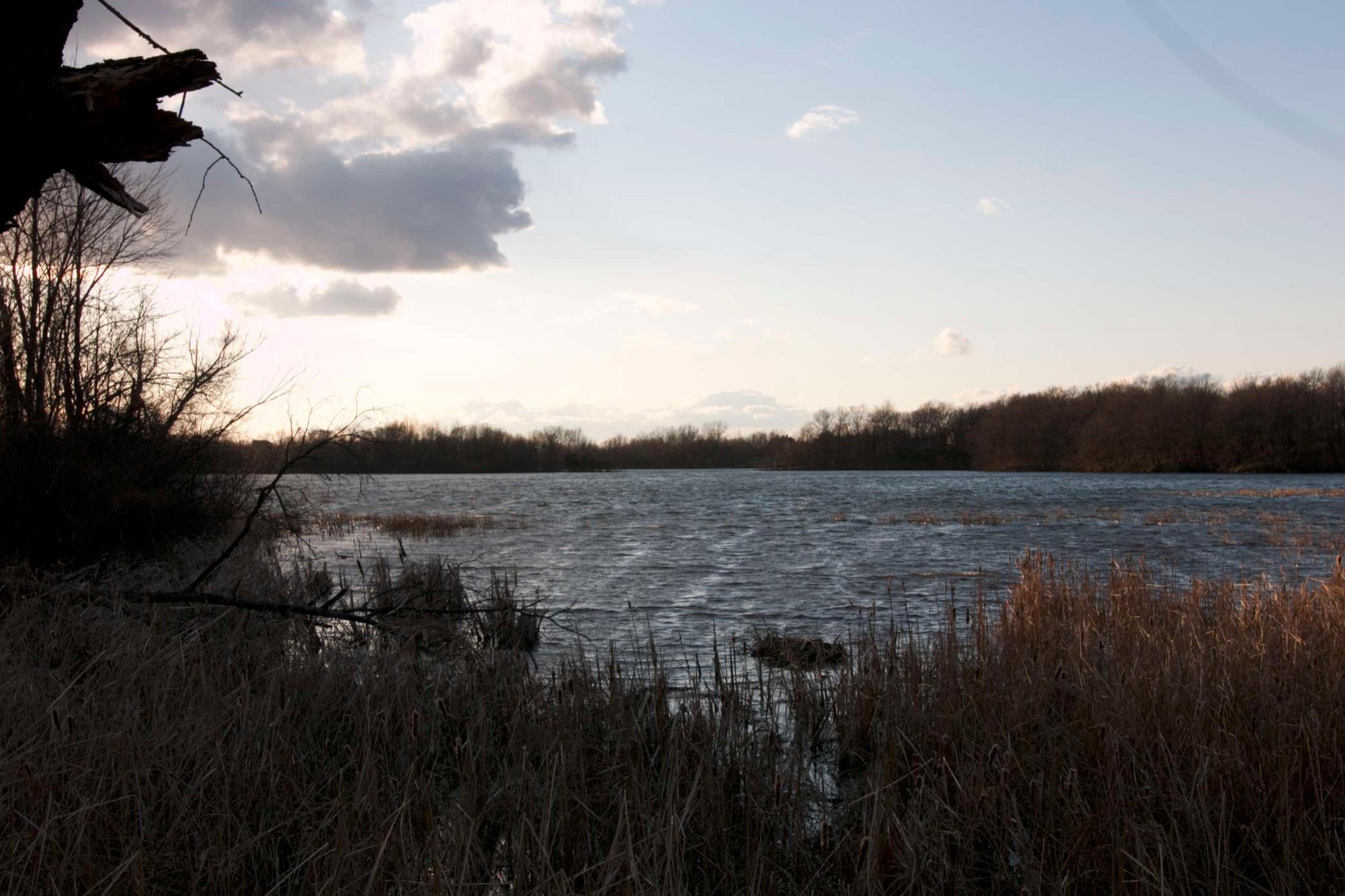 981 Peninsula Point Road Shakopee, MN 55379 - Photo 9 of 28