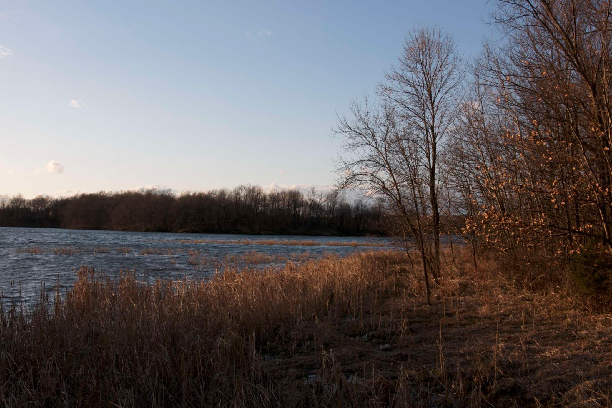 981 Peninsula Point Road Shakopee, MN 55379 - Photo 10 of 28