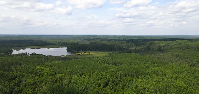 $224,900 | 25384 County Road 523, Effie, MN 56639