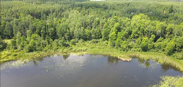 $224,900 | 25384 County Road 523, Effie, MN 56639