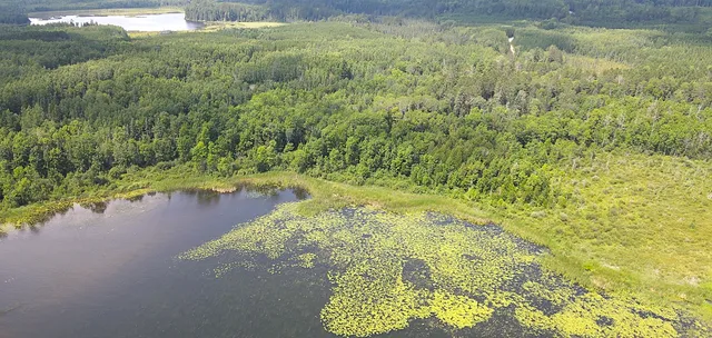 $224,900 | 25384 County Road 523, Effie, MN 56639