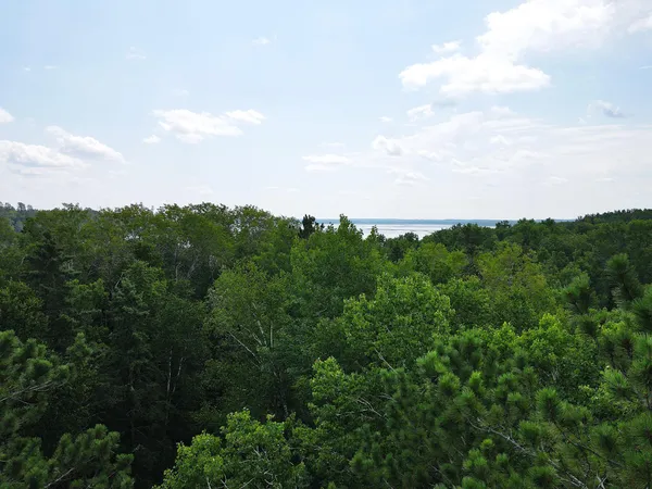$199,900 | 25384 County Road 523, Effie, MN 56639