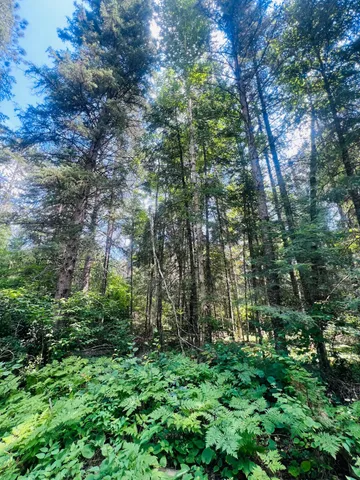 $224,900 | 25384 County Road 523, Effie, MN 56639