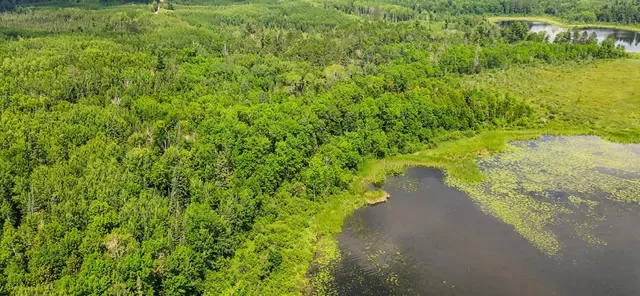 $224,900 | 25384 County Road 523, Effie, MN 56639