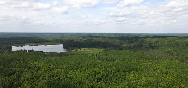 $199,900 | 25384 County Road 523, Effie, MN 56639