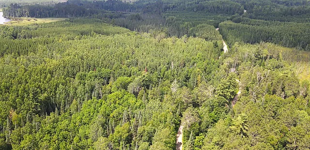 $224,900 | 25384 County Road 523, Effie, MN 56639