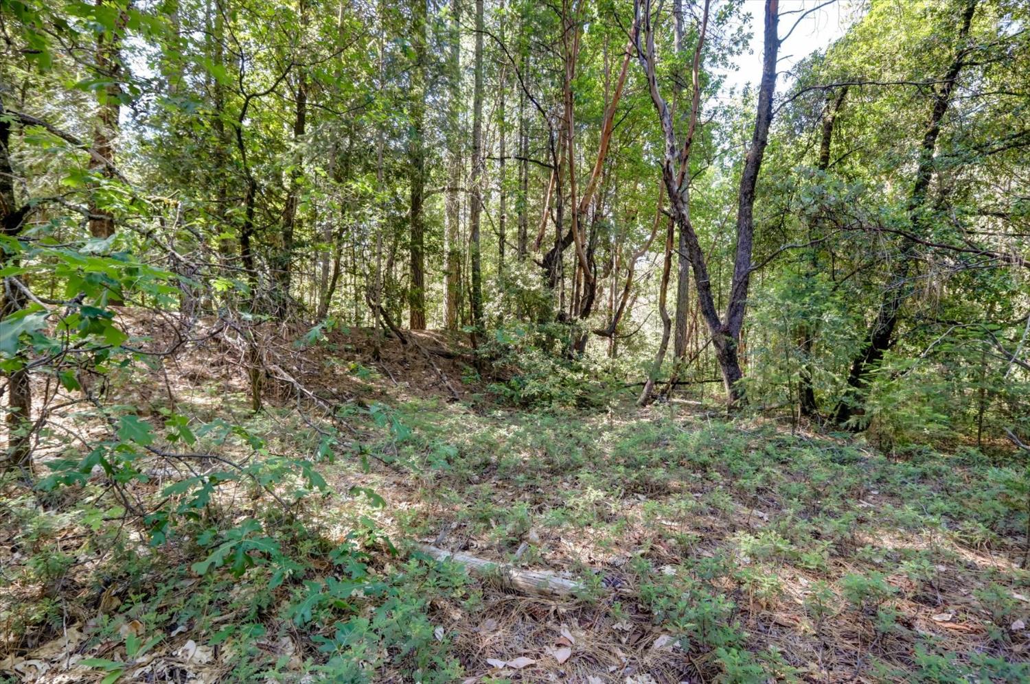 17390 Skyland Road Nevada City, CA 95959 - Photo 11 of 17