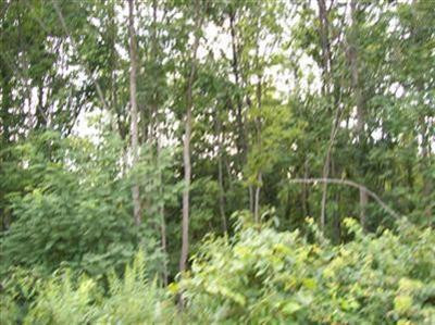 5 Pea Ridge Road Stamping Ground, KY 40379 - Photo 8 of 9 Photo 8