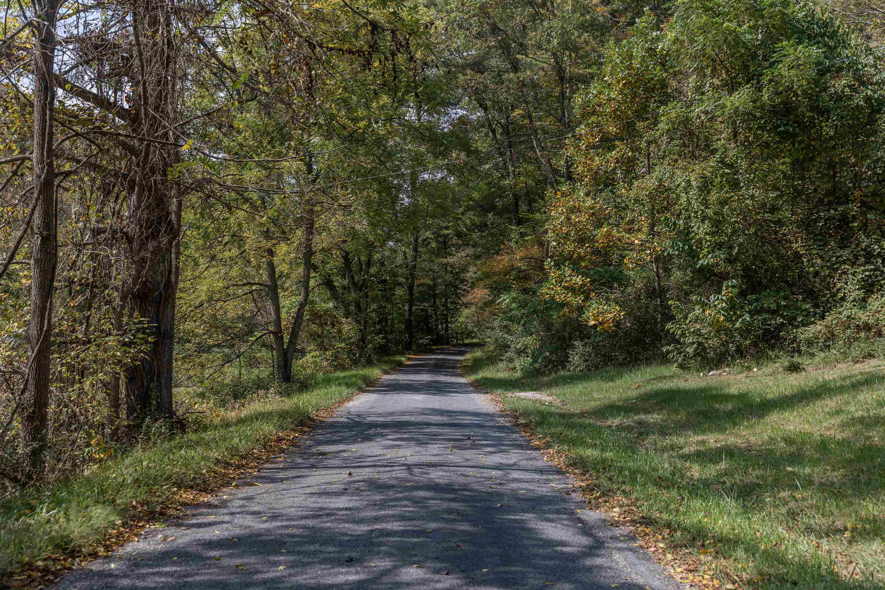 2063 Pedlar River Road Vesuvius, VA 24483 - Photo 5 of 35 a view of a street with a trees